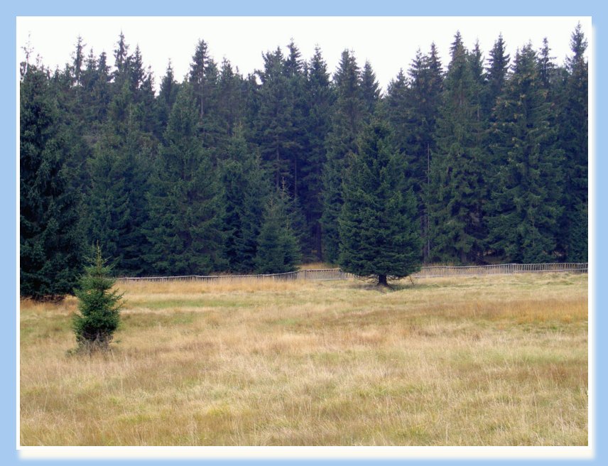 20-22.10.2006 NAROZENINY-JIZERKY 039